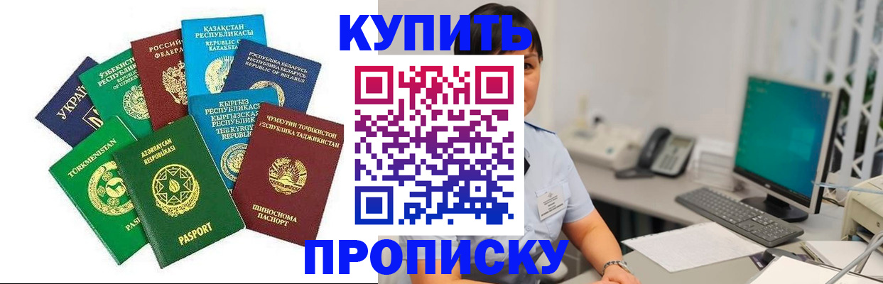 прописка в Мытищах